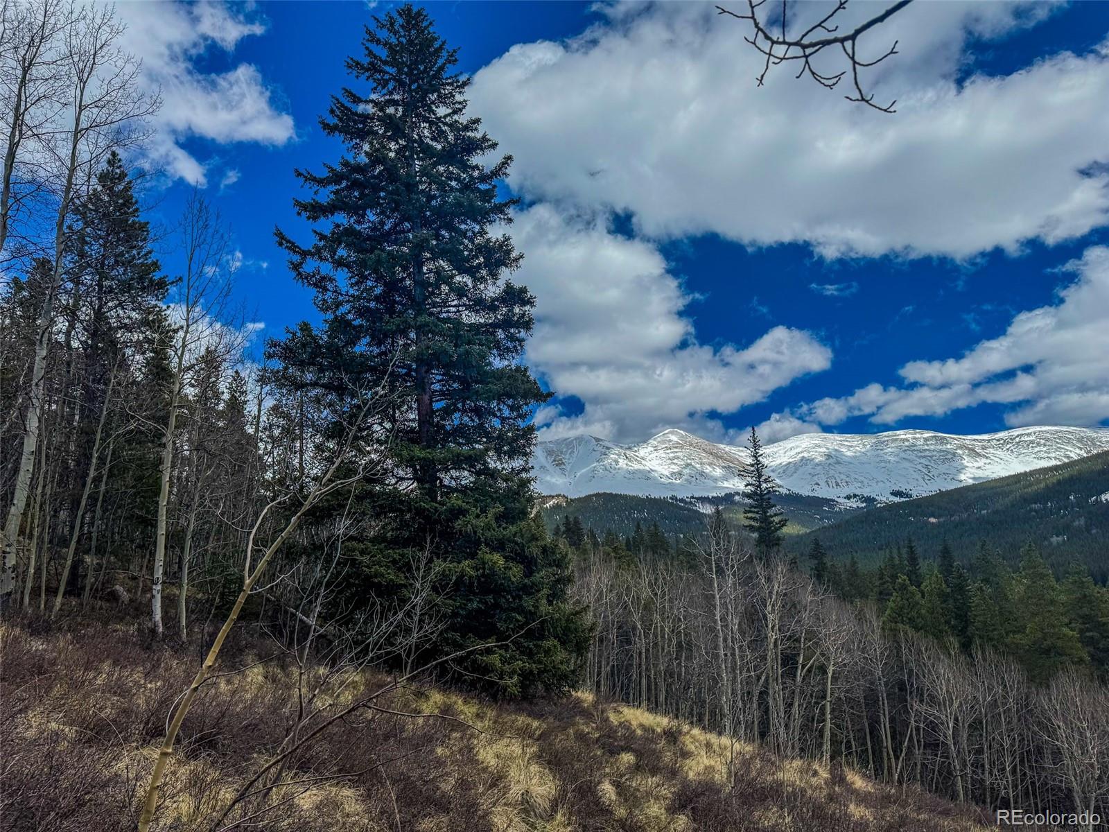 Buckeye Gulch Road