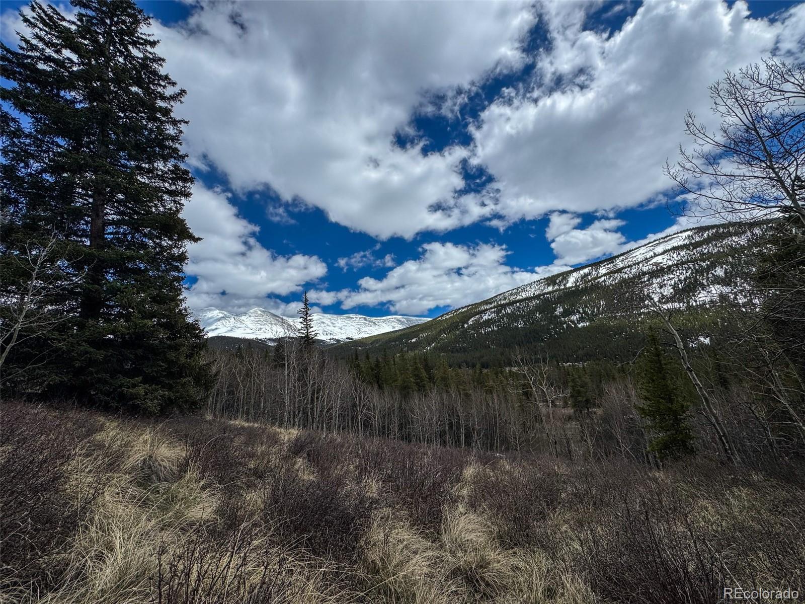 Buckeye Gulch Road