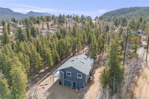 691 Gold Flake Terrace Bailey CO 80421