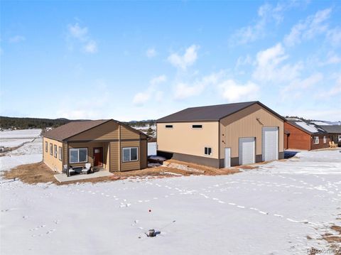 489 Duesouth Road Florissant CO 80816