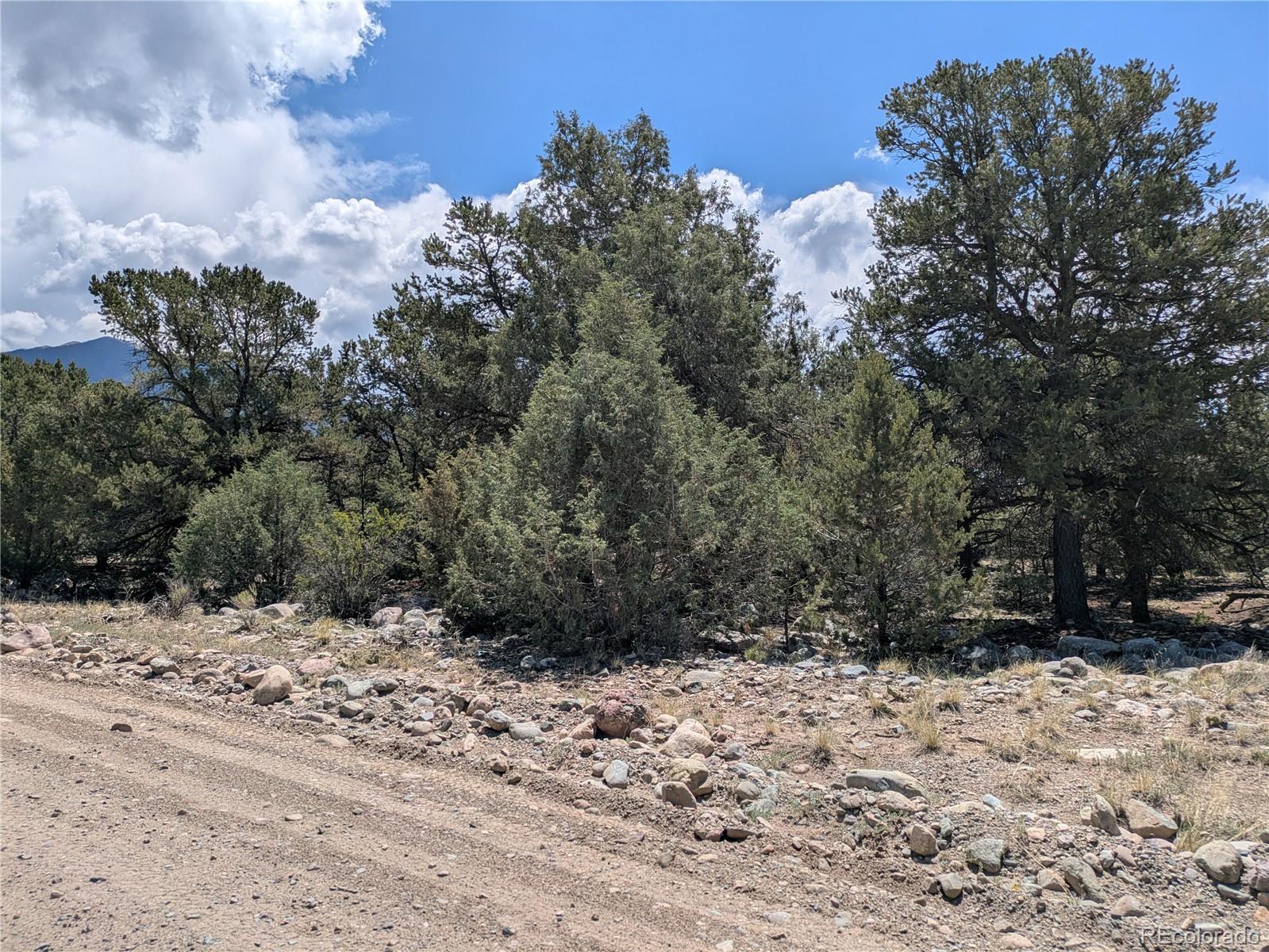 3729 Enchanted Way
