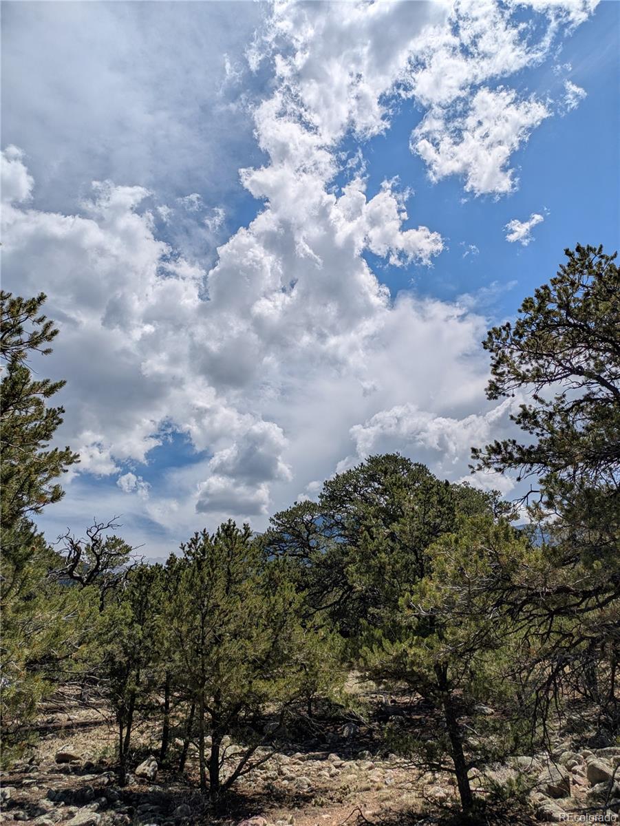 3729 Enchanted Way