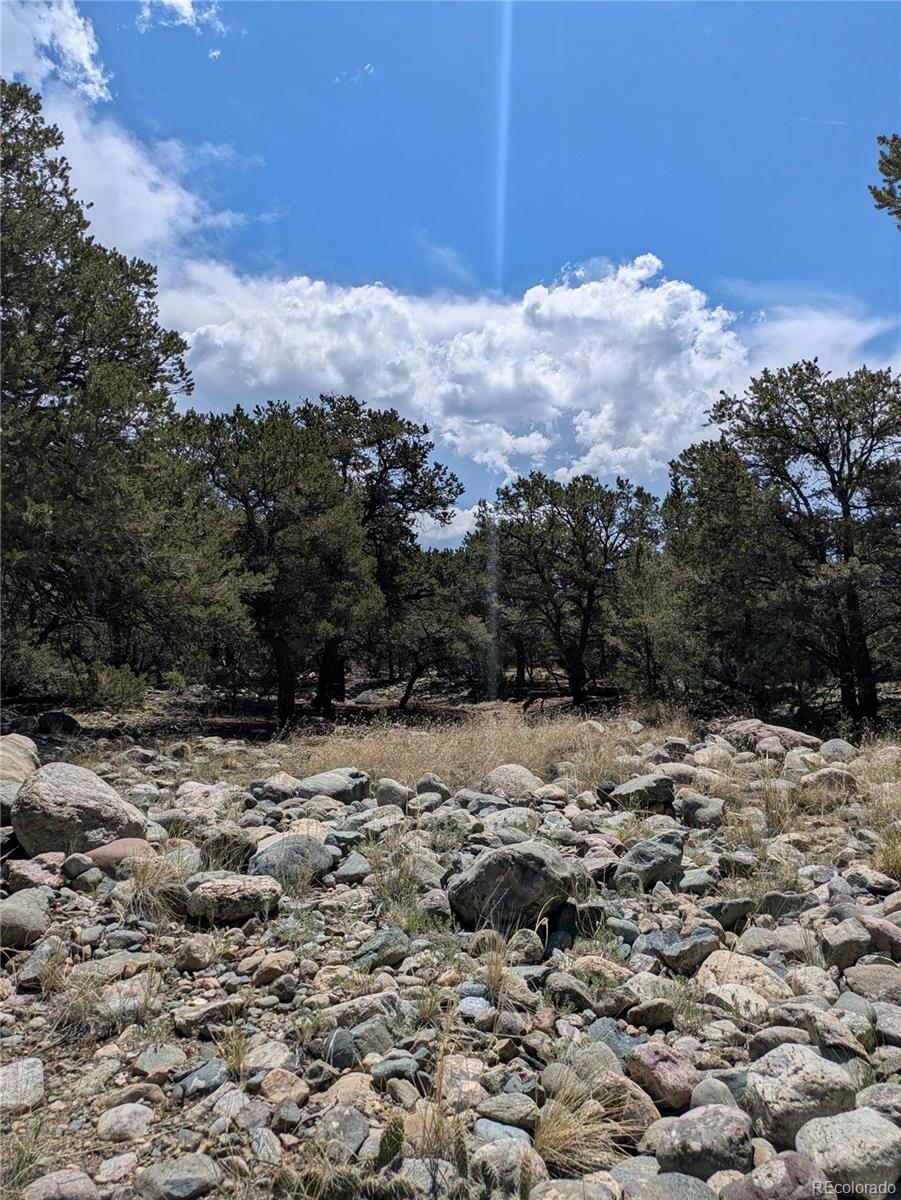 3729 Enchanted Way