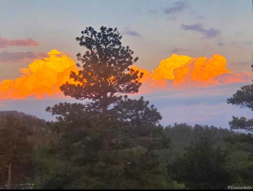 26115 Amy Circle, Conifer, CO, 80433 1 26115 Amy Circle