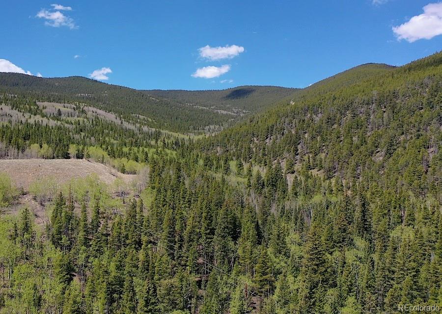 000 Forest Service
