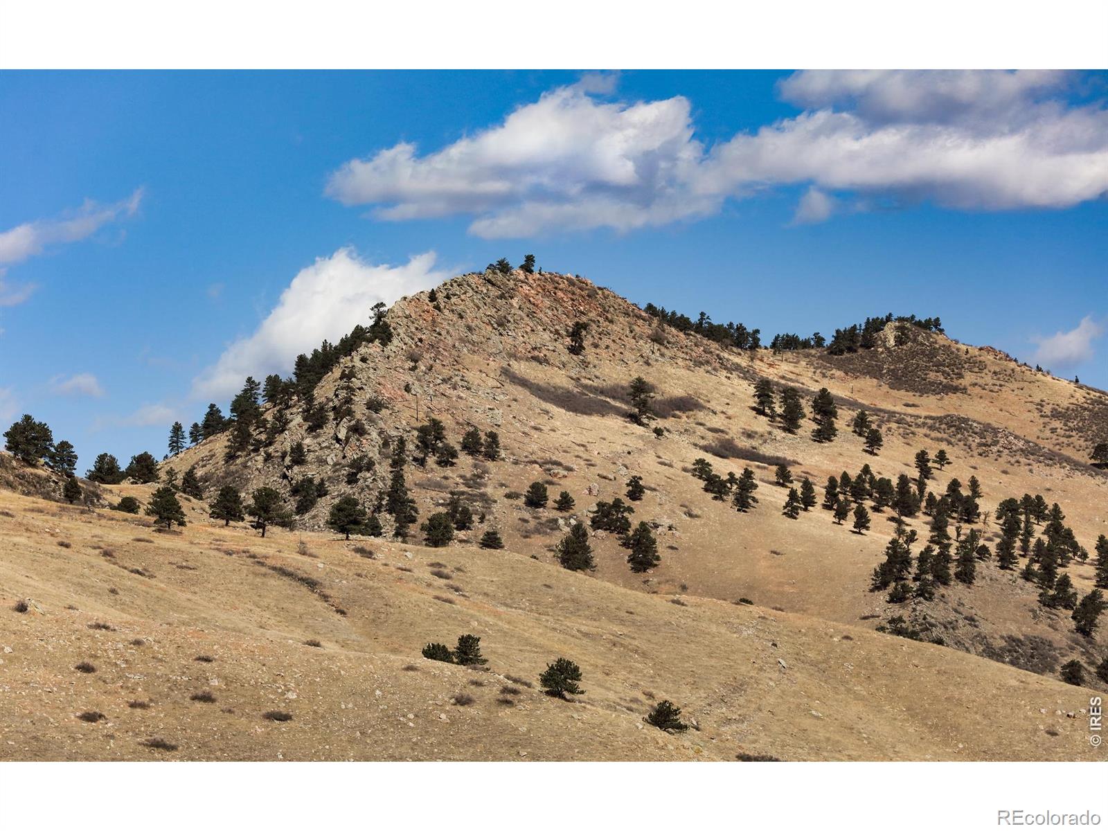 650 Terrace Avenue E