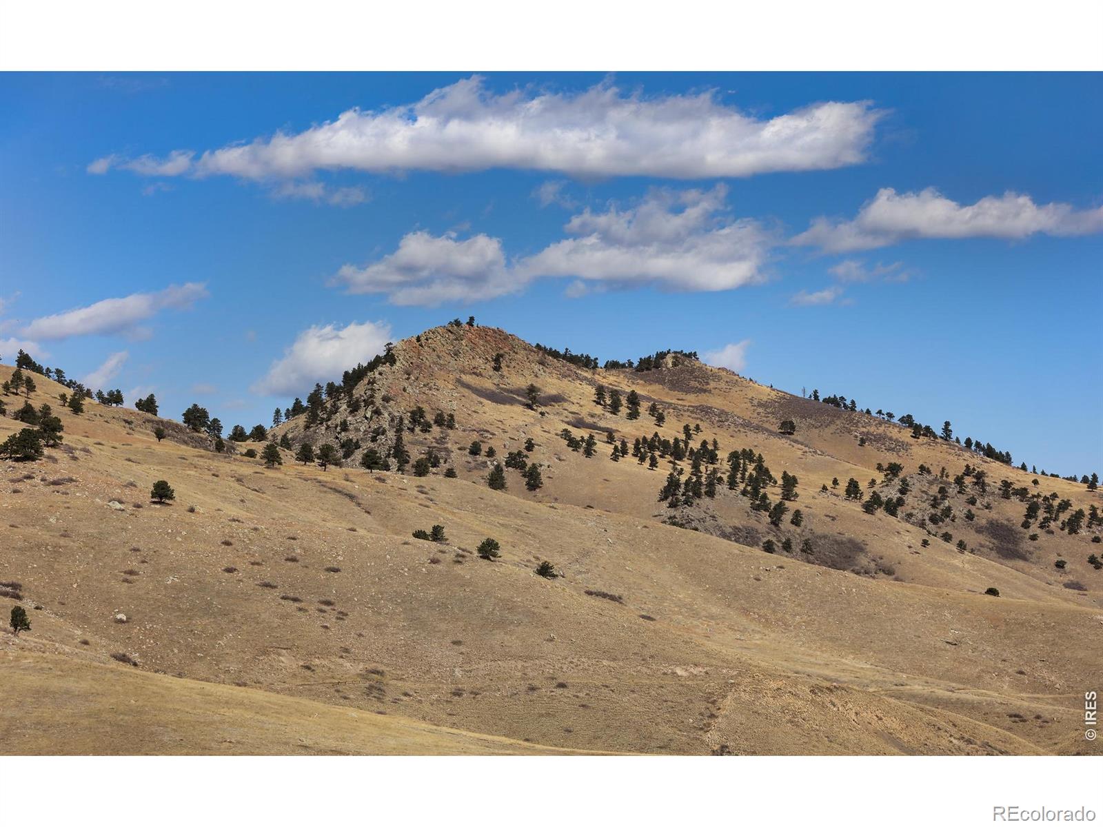 650 Terrace Avenue E