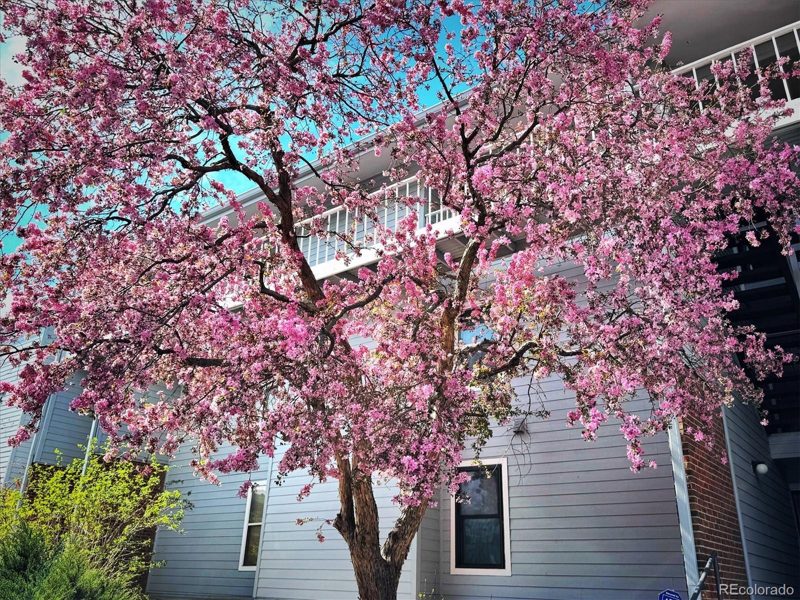 3121 S Tamarac Drive 208H