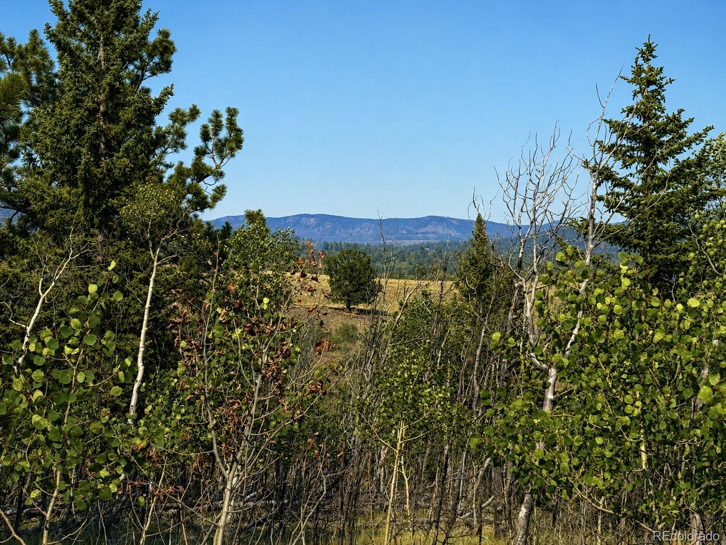 250 Pinto Trail