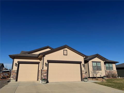 Photo of 4541 Carmichael Court, Brighton, CO 80603 (MLS # 4414486)
