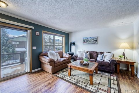 Photo of 746 W Anemone Trail, Dillon, CO 80435 (MLS # 7145993)