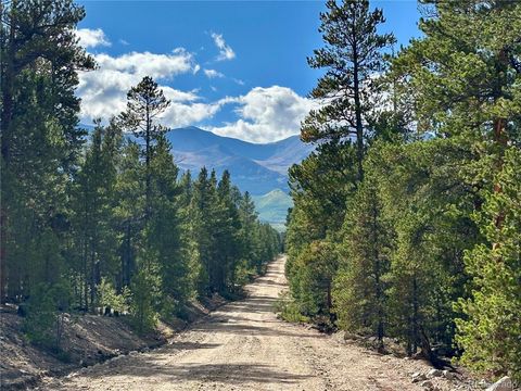 143 Fir Drive Leadville CO 80461