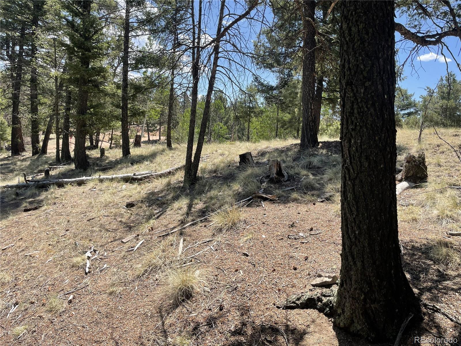 Photo 1 of 11 — 971 Spring Valley Lane, Florissant, CO 80816