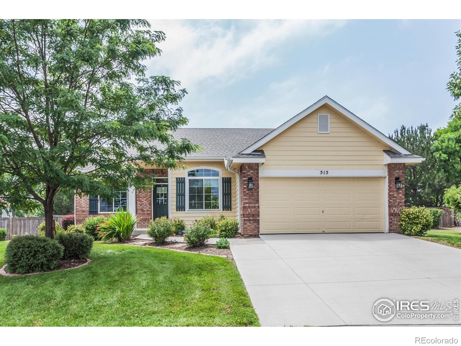 515 Limber Pine Court