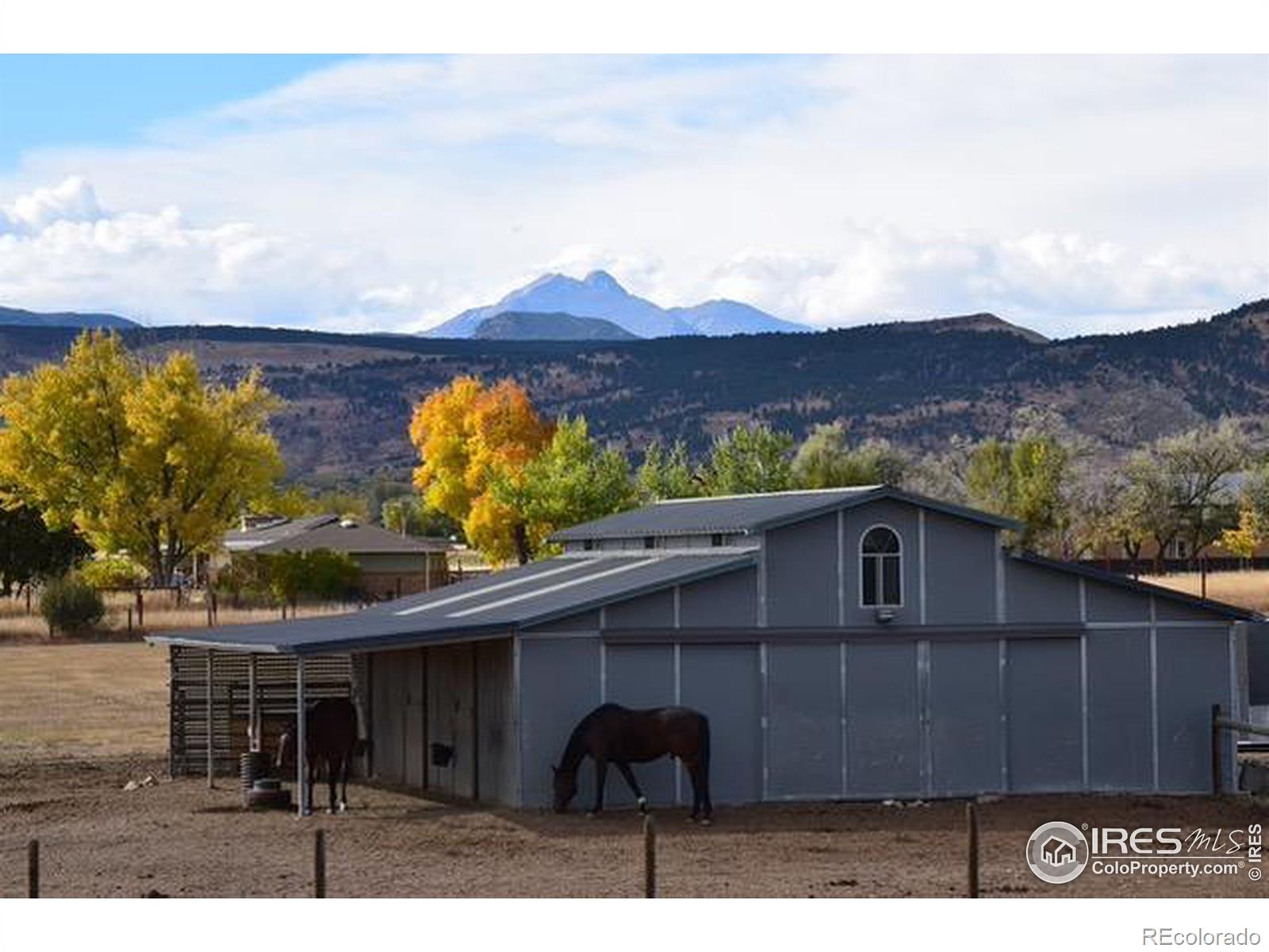 10619 N 65th Street, Longmont, CO, 80503 4 10619 N 65th Street