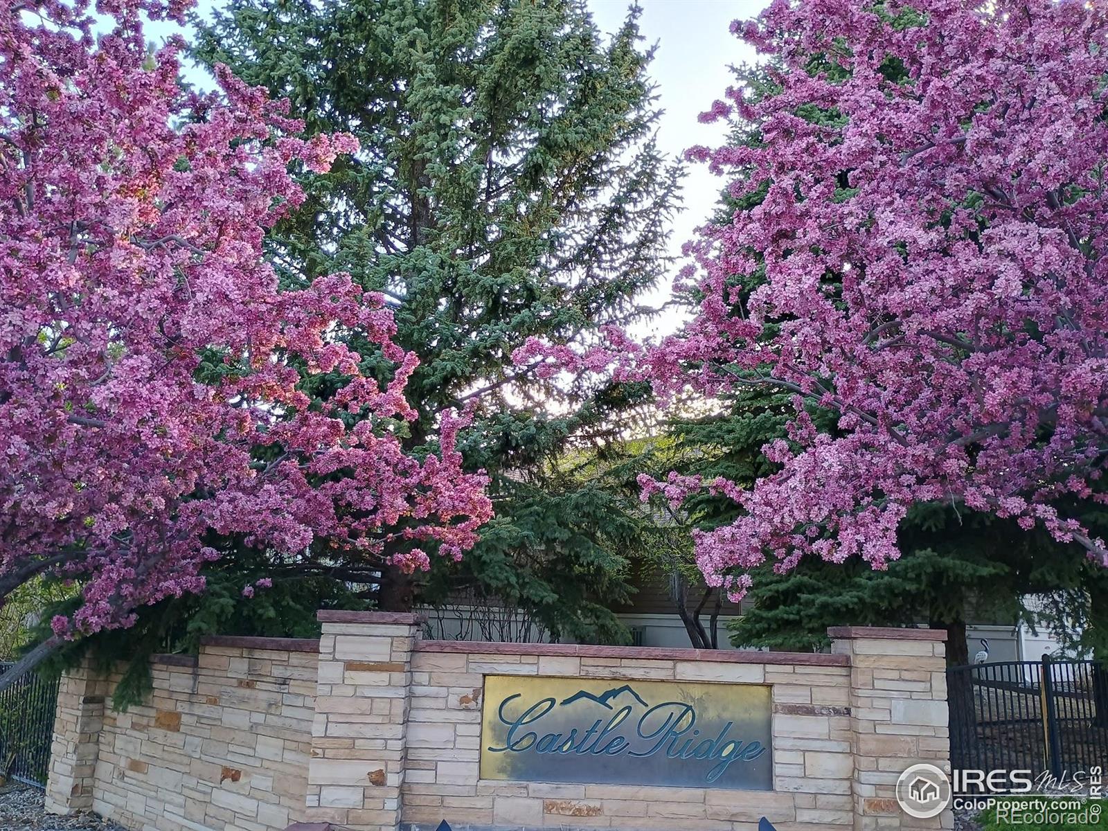 5200 Castle Ridge Place