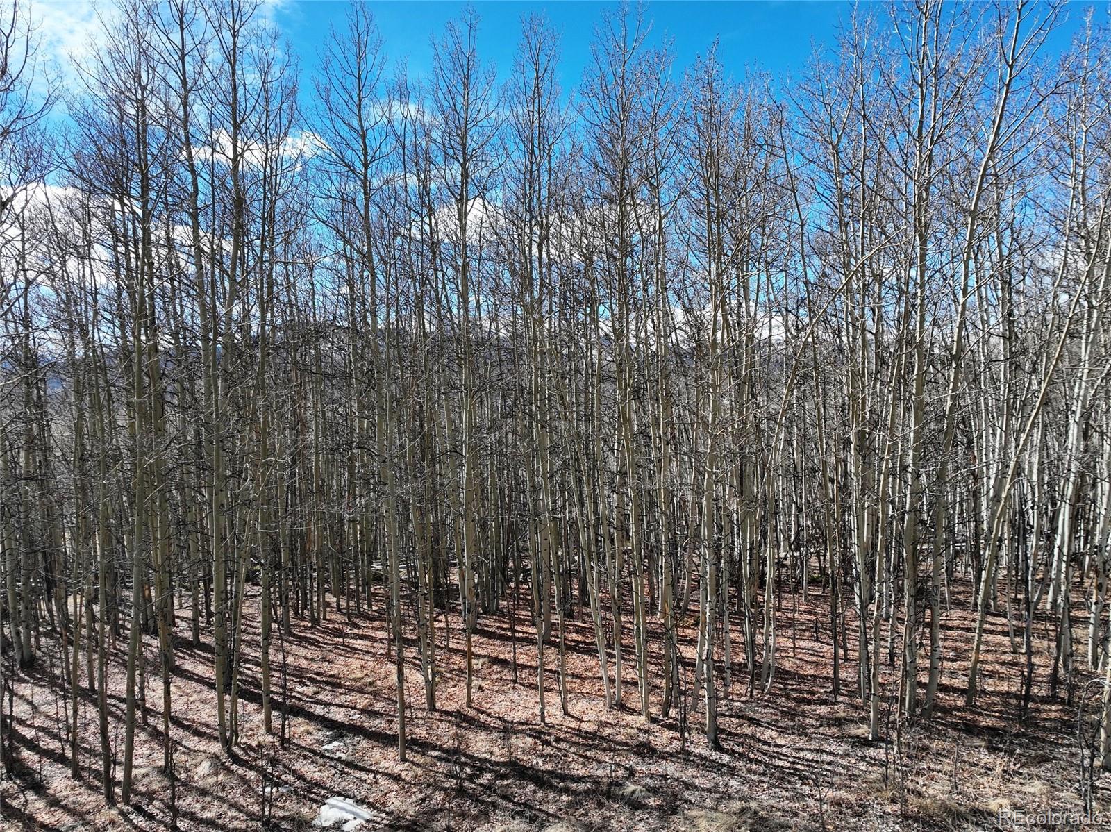 303 Glacier Peak View