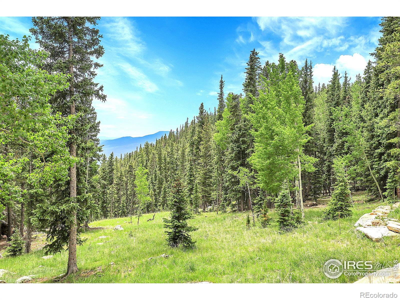 1176 Raven Ridge Road, Idaho Springs, CO, 80452 1 1176 Raven Ridge Road