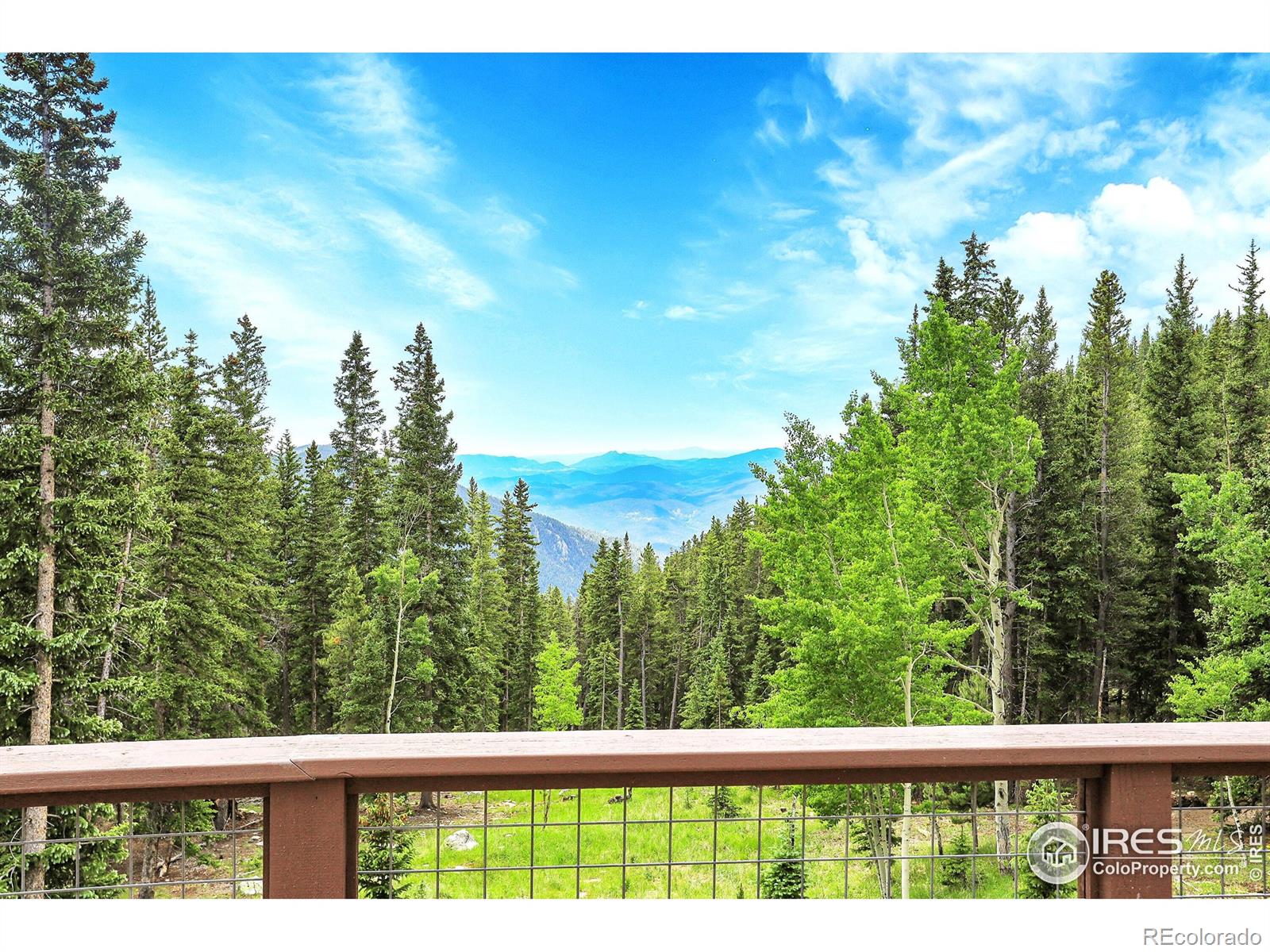 1176 Raven Ridge Road, Idaho Springs, CO, 80452 4 1176 Raven Ridge Road