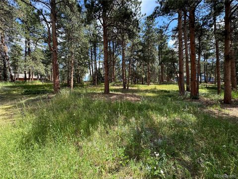 26698 De Berry Street Conifer CO 80433
