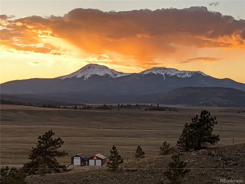 260 Saddle Trail Hartsel CO 80449