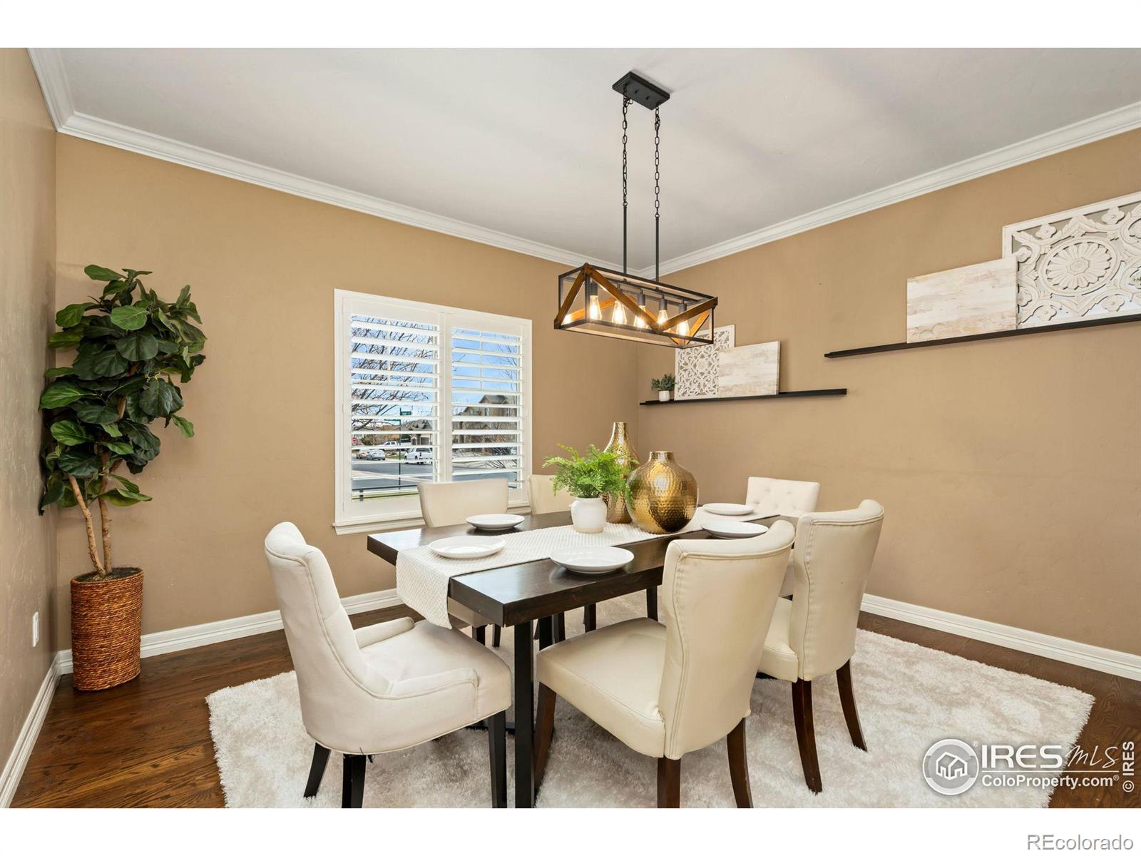 4356 Arnica Court