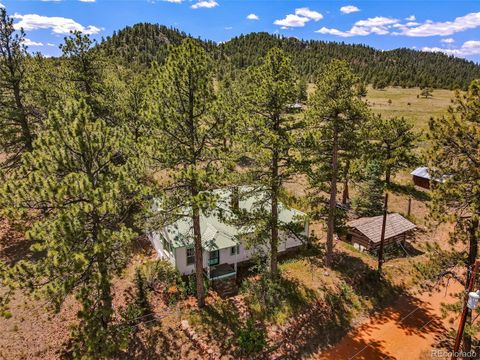 9091 CO RD 271 Westcliffe CO 81252