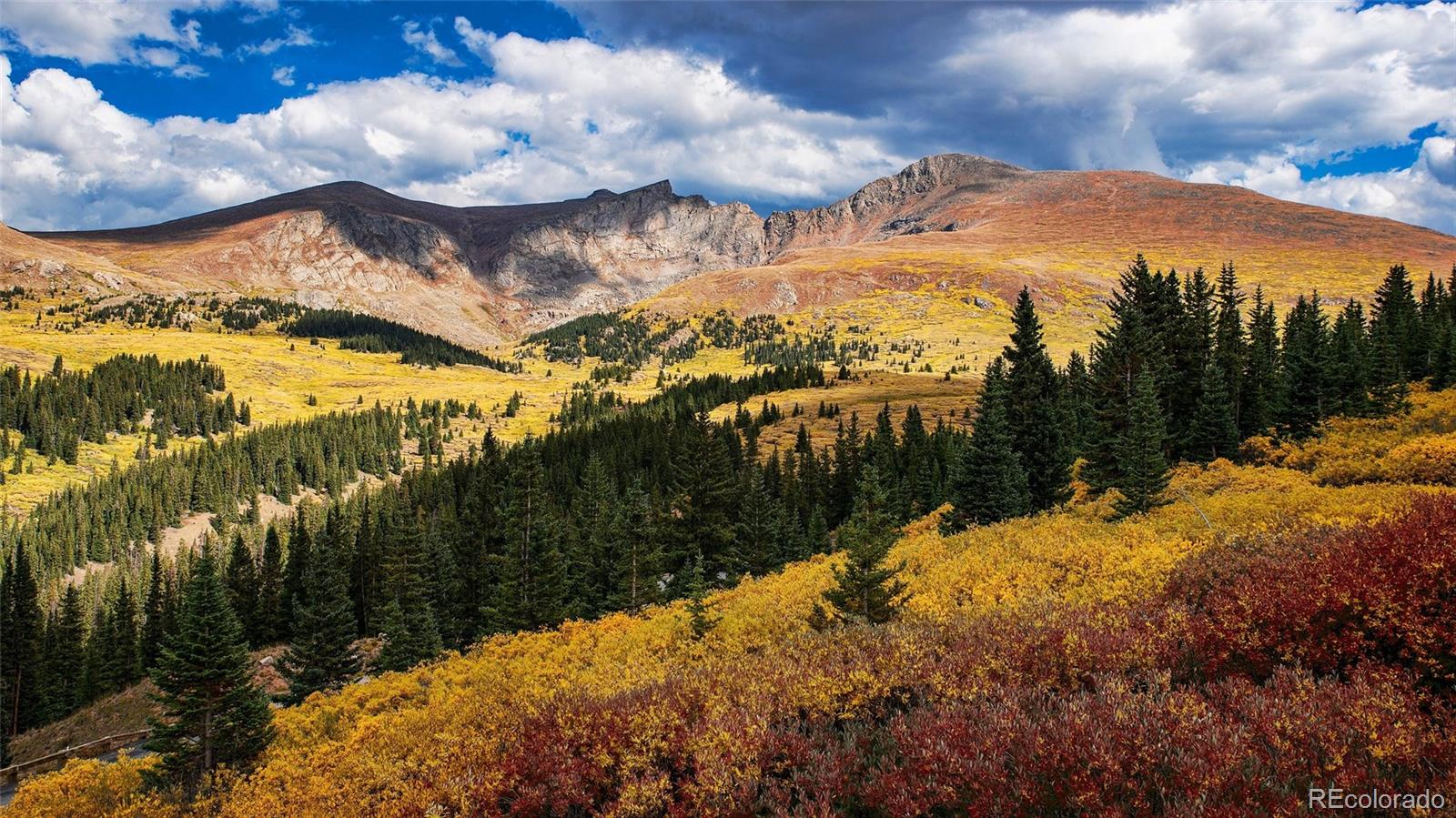 7039 Homeplace Street, Castle Rock, CO, 80108 7039 Homeplace Street