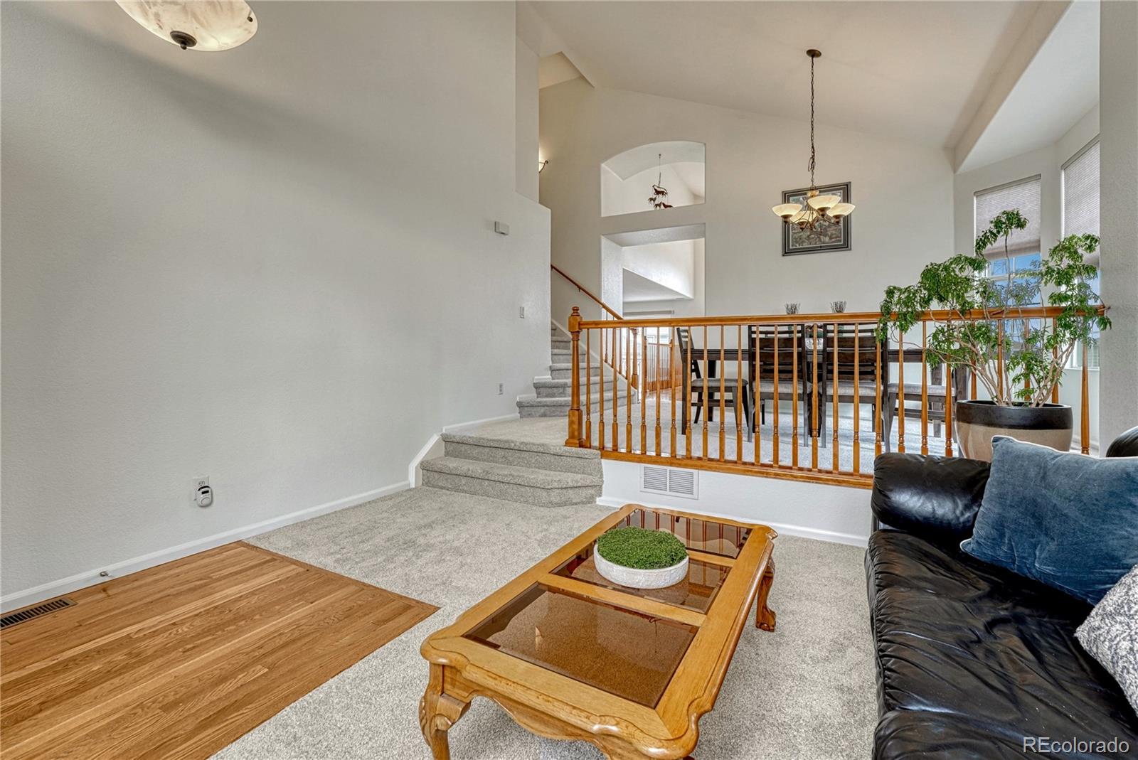 16786 Trail Sky Circle