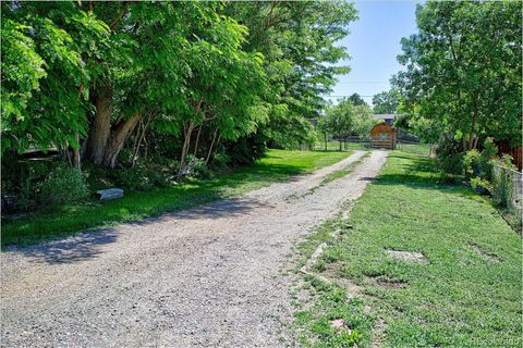 Single Family Residence in Arvada CO 5870 Nelson Court 1.jpg