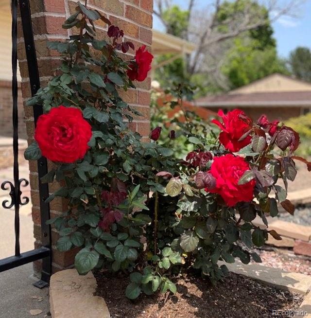 1055 S Elmira Street