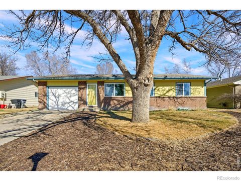 262 E 5th Avenue Longmont CO 80504