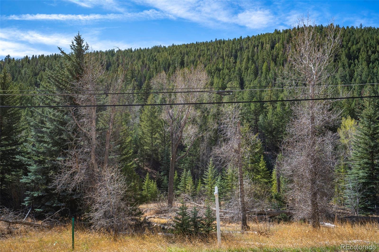 1851 Hwy 103