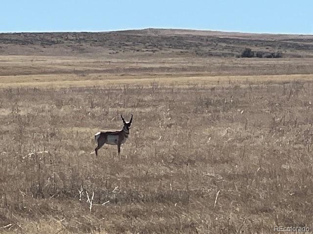 TBD Strasburg Road