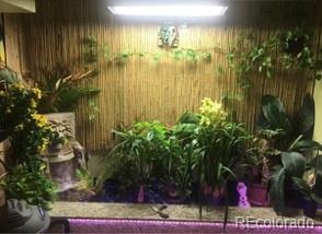 12577 W Arizona Place