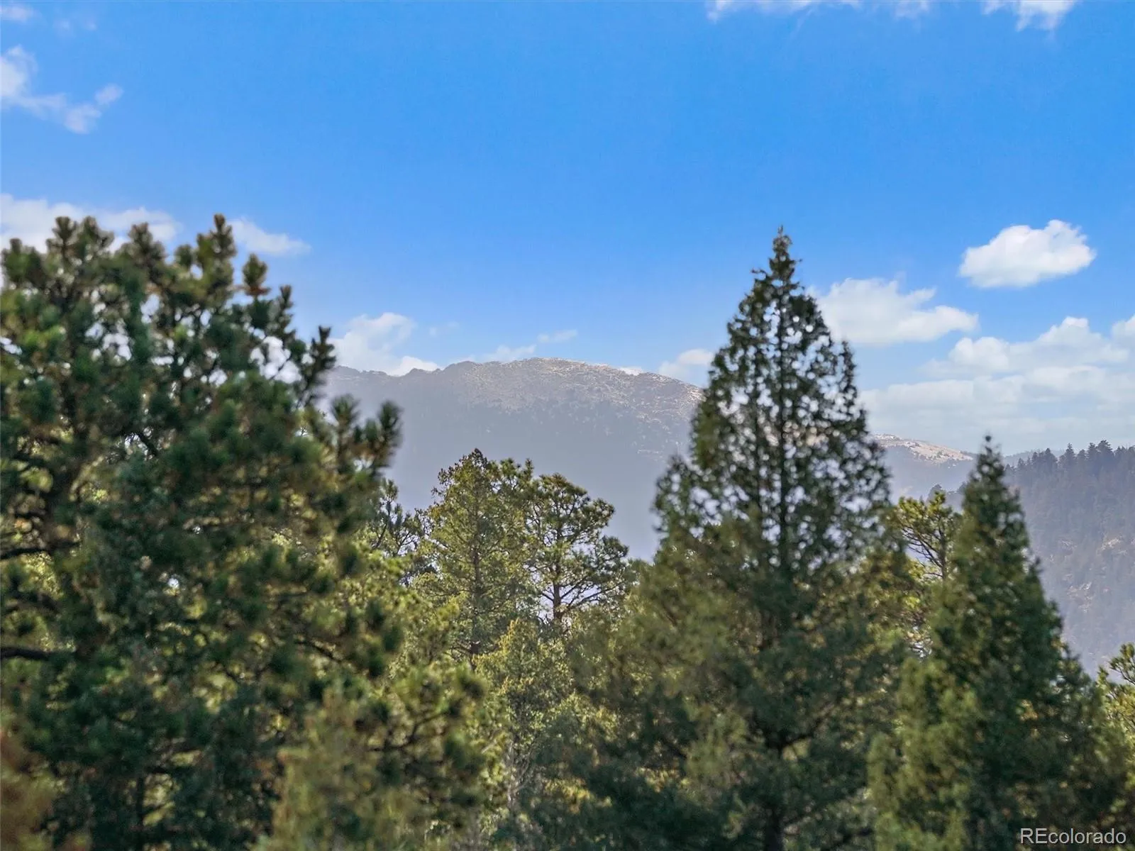 Evergreen, Colorado 80439, United States, 2 Bedrooms Bedrooms, ,1 BathroomBathrooms,Residential,Active,217534