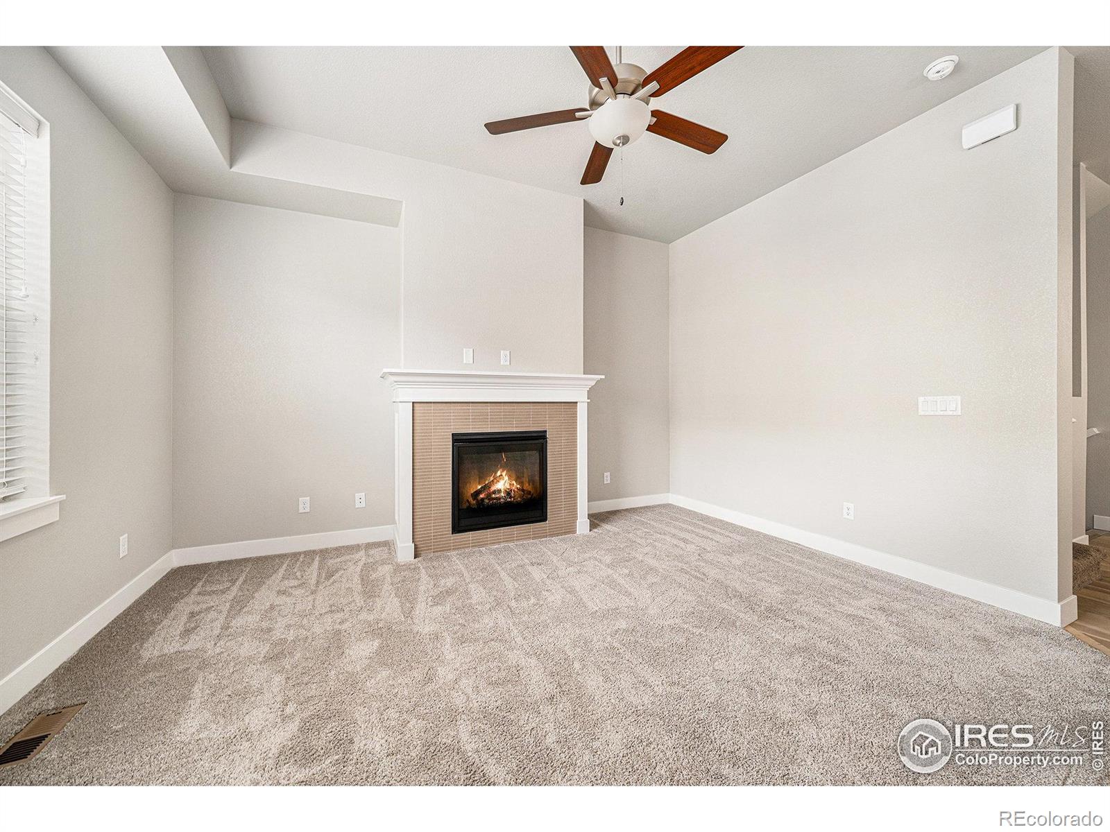 5101 Autumn Leaf Drive, Timnath, CO, 80547 1 5101 Autumn Leaf Drive