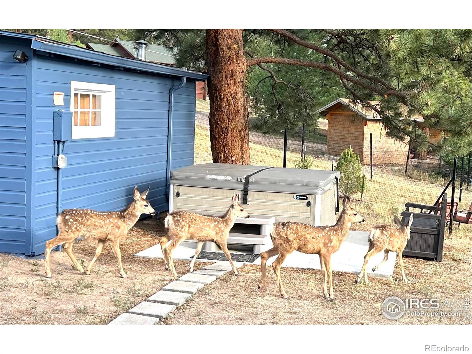 840 University Drive, Estes Park, CO, 80517 1 840 University Drive