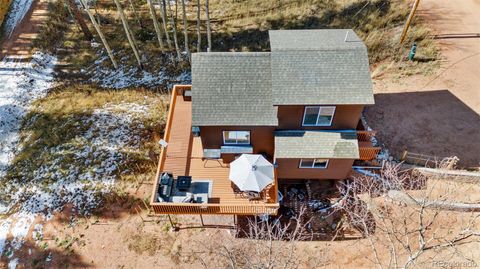 263 Wakanda Trail Woodland Park CO 80863
