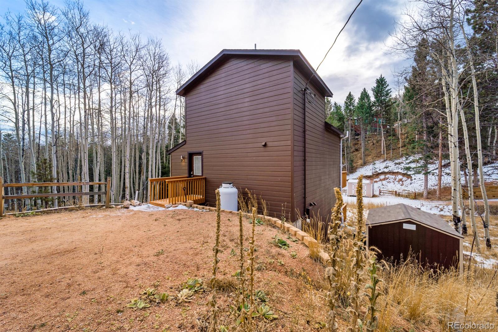 263 Wakanda Trail, Woodland Park, CO, 80863 4 263 Wakanda Trail