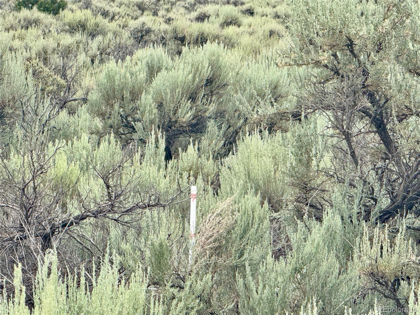 Lot 38 WildHorse Drive