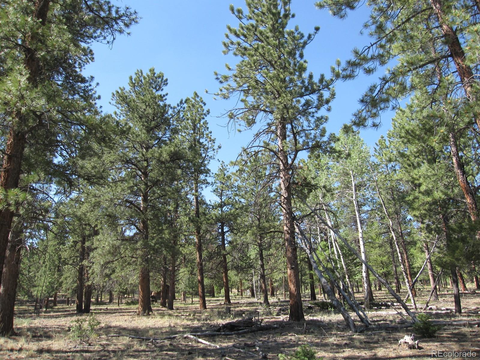 30423 Harvard Circle