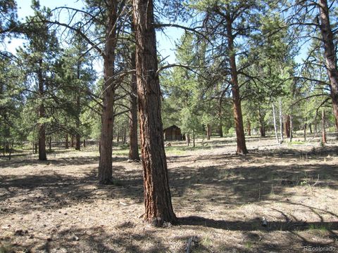 30423 Harvard Circle Buena Vista CO 81211