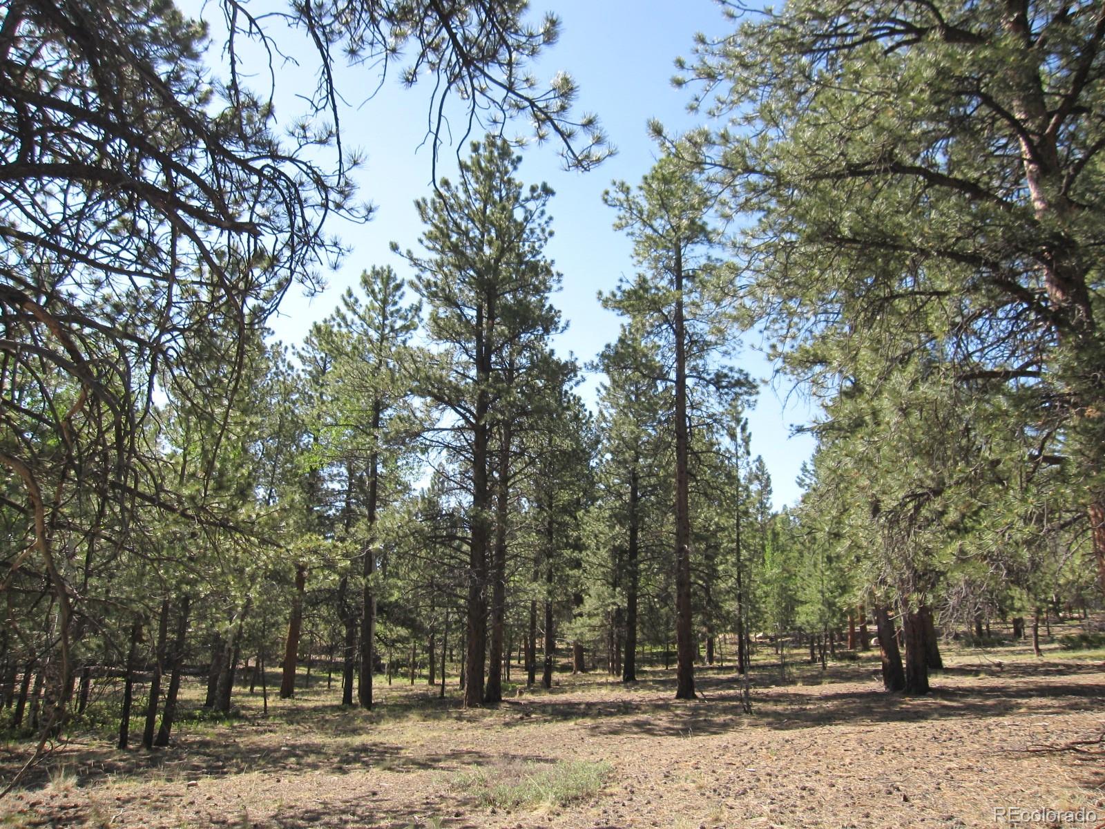 30423 Harvard Circle