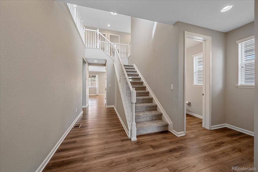 Photo of 3165 Bittern Street, Castle Rock, CO 80104 (MLS # 3680667)