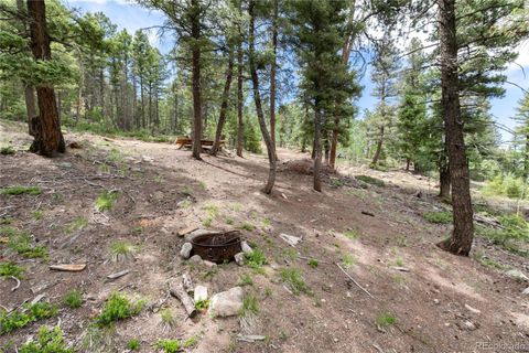 Unimproved Land in Conifer CO 12888 Piano Meadows Drive 21.jpg