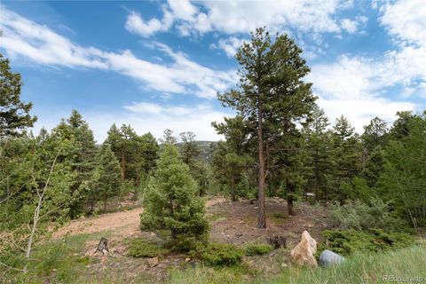 Unimproved Land in Conifer CO 12888 Piano Meadows Drive 17.jpg