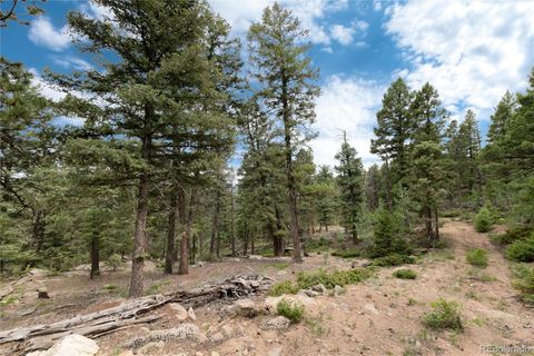 Unimproved Land in Conifer CO 12888 Piano Meadows Drive 23.jpg