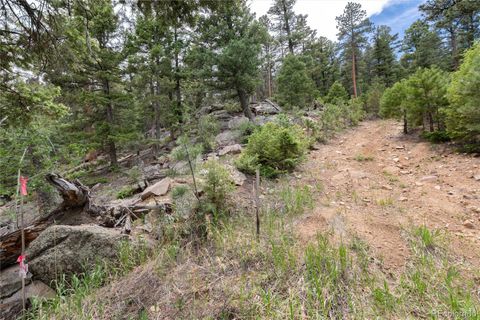 Unimproved Land in Conifer CO 12888 Piano Meadows Drive 26.jpg