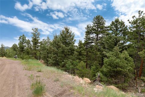 Unimproved Land in Conifer CO 12888 Piano Meadows Drive 19.jpg